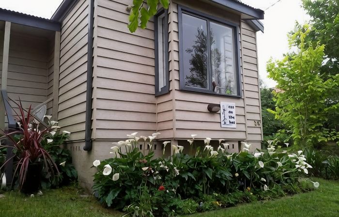 Cat On The  Hat Cottage ~MeOw MeOw~5 stars 🌟🌟🌟 🌟 🌟 😻 property