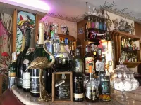Hotel Flamingo - bar