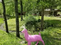 Nestled in the heart of the Hocking Hills.... Hummingbird Holler - Wi-Fi