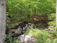 NEW for 2024, 6 person hot tub. Spacious country home with large back yard. - 3성급