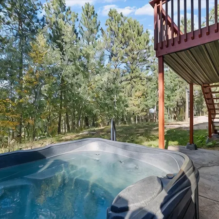 Omega Cabin Close to Lake Pactola and ATV Trails
