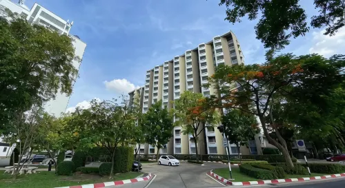 Dluxx Thammasat - 3 Sao