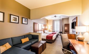 Comfort Suites South