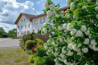 Hotel Gasthof Altmann Hotels in Lam
