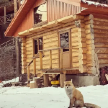 Taurukh Azau