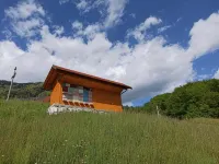 Apartments Laznica