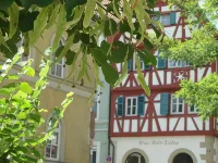 Bayerischer Hof Hotels in Kitzingen