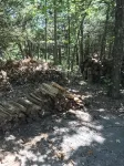 Wolf Den Cabin of Pomme de Terre