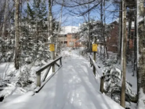 Ski home to a renovated cozy 1br condo w/fireplace & hot tub at Trail Creek!