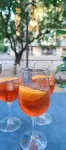 Hotel Ardesia Hotels in Bellariva