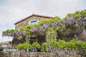 Casa de Amancio