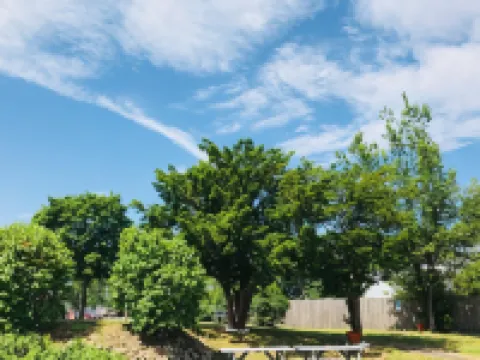 Wells Moody Motel Hotels in Wells