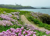 Belle Maison à 4 min à Pied de la Plage! Hotel a Le Conquet
