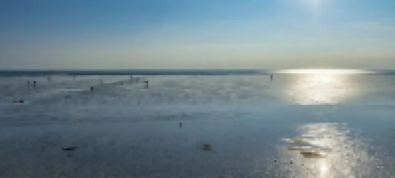 Spacious vacation apartment in a central and quiet location with terrace