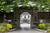 Castle Arch Hotel Hotels in Trim