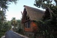 Iguanitas Lodge - Bed and Breakfasts