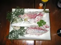 Bizenya Hotels in Wakasa