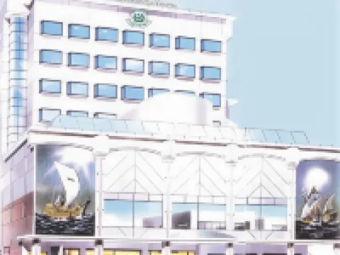 Hotel New Tanegashima Hotels in Nishinoomote