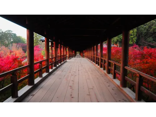 Machiya Kaemon Kyoto-Sta.