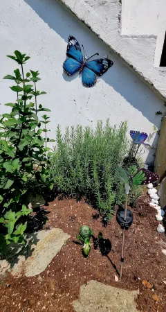 Welcome to Casa Enzo, located Bogno, not far from the beautiful Lake Maggiore.