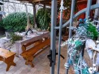Lillac Cottage Hotels in Ancona