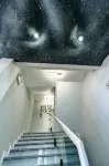 嵊泗島嶼星空民宿 - 寵物友善