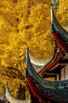 Homeinn Plus Hotel ( Chengdu Wenshu Monastery Chenghuang Temple Metro Station Store) Các khách sạn ở Thành Đô
