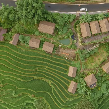 Eco Palms House - Sapa Retreat