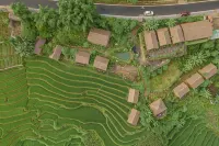 Eco Palms House - Sapa Retreat