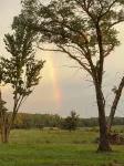 Charming & Cozy Spacious Farmhouse with Beautiful Views & Near Lakes and Trails! - 3-Star