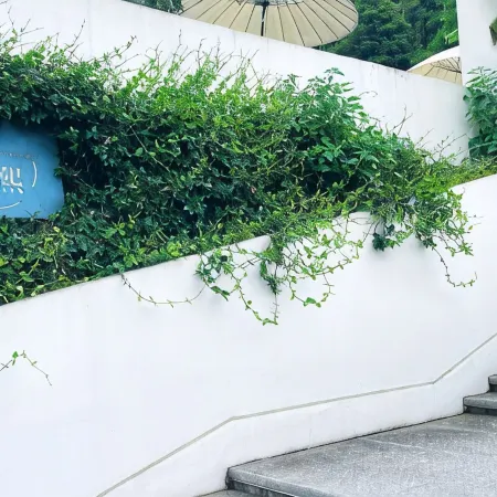 YUNXI Designer Hot Spring Homestay