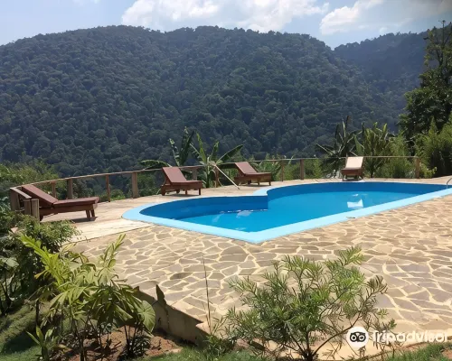 Trackers Safari Lodge Bwindi Hotels in Kinkiizi