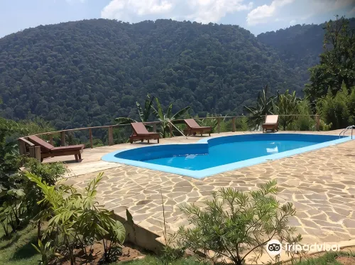 Trackers Safari Lodge Bwindi - สัตว์เลี้ยง
