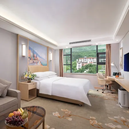 Vienna Hotel (Hechi Baima Street Store)