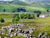 The Stables