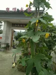 Tingyue Renjia Farmhouse - Urlaub auf dem Bauernhof