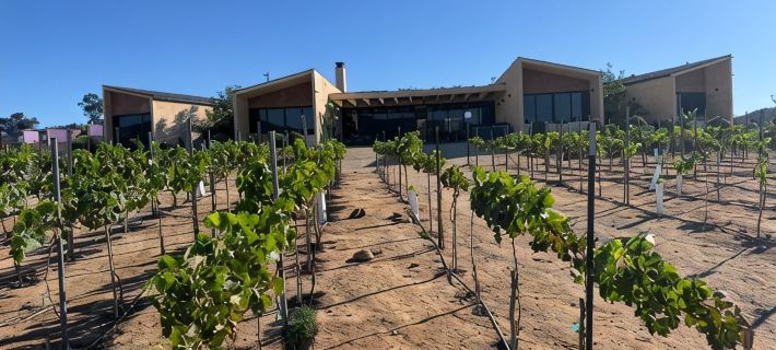 Casa Vall Luxury Valley Life Ξενοδοχεία στην πόλη Ensenada