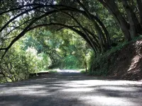 Recently Updated Private Studio w/ Separate Entrance Near Lake Chabot Hotels in Castro Valley