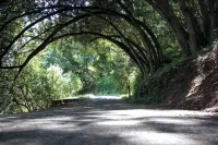 Recently Updated Private Studio w/ Separate Entrance Near Lake Chabot