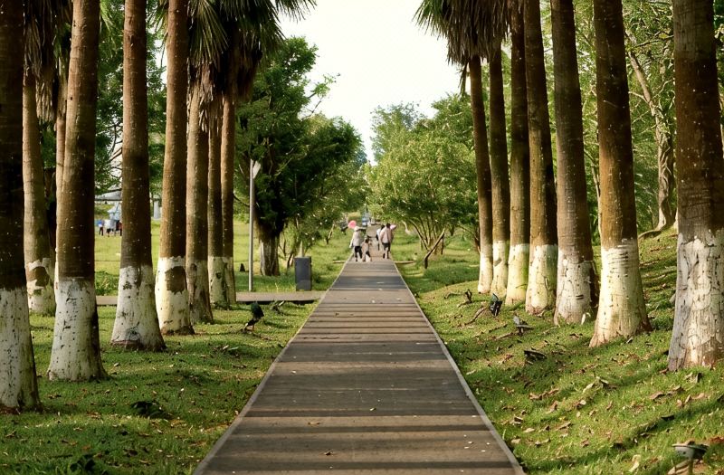 Haikou Island Forest Hotel (Haikou East High-speed Railway Station) photo 2