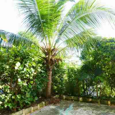 Lovely 2 Bed/2Bath Apartment, a/C, Veranda, Garden, 10 Mins to Hastings Beach Hotel Exterior