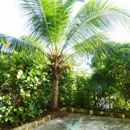 Lovely South Coast Apartment, Walk to Beaches, 2 Bed/2Bath, A/C, Large Veranda