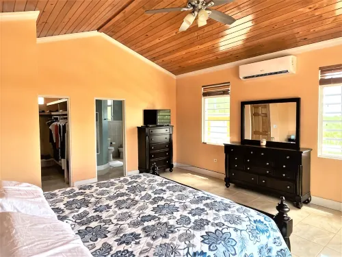 Paradise Palms! - Homestays
