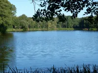 Experience nature and enjoy peace - ブティック