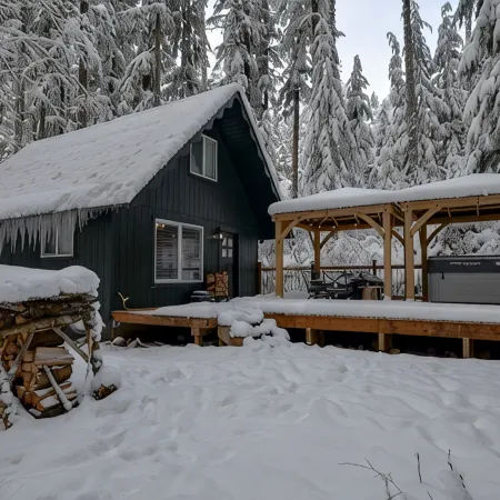 Wits End Retreat @ Mt. Rainier - Hot Tub & WiFi