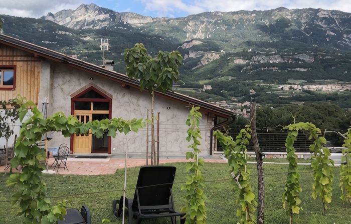 Villa in the vineyards overlooking the mountains