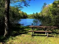 Cozy Appalachian Trail Cabin - Woody Gap & Blood Mountain in Suches, GA