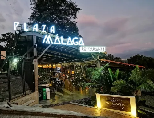 Casa Hotel Malaga - Mountain view