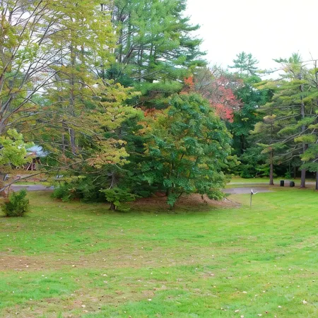 The Gnome Home Cottage located near white mountain NH