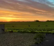 Out Back and Beyond, very rural, just the place to 'get away from it all' - プール